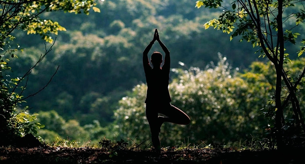 Chalet de la Haute-Joux