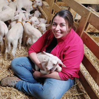 Domaine du Roc Nantais