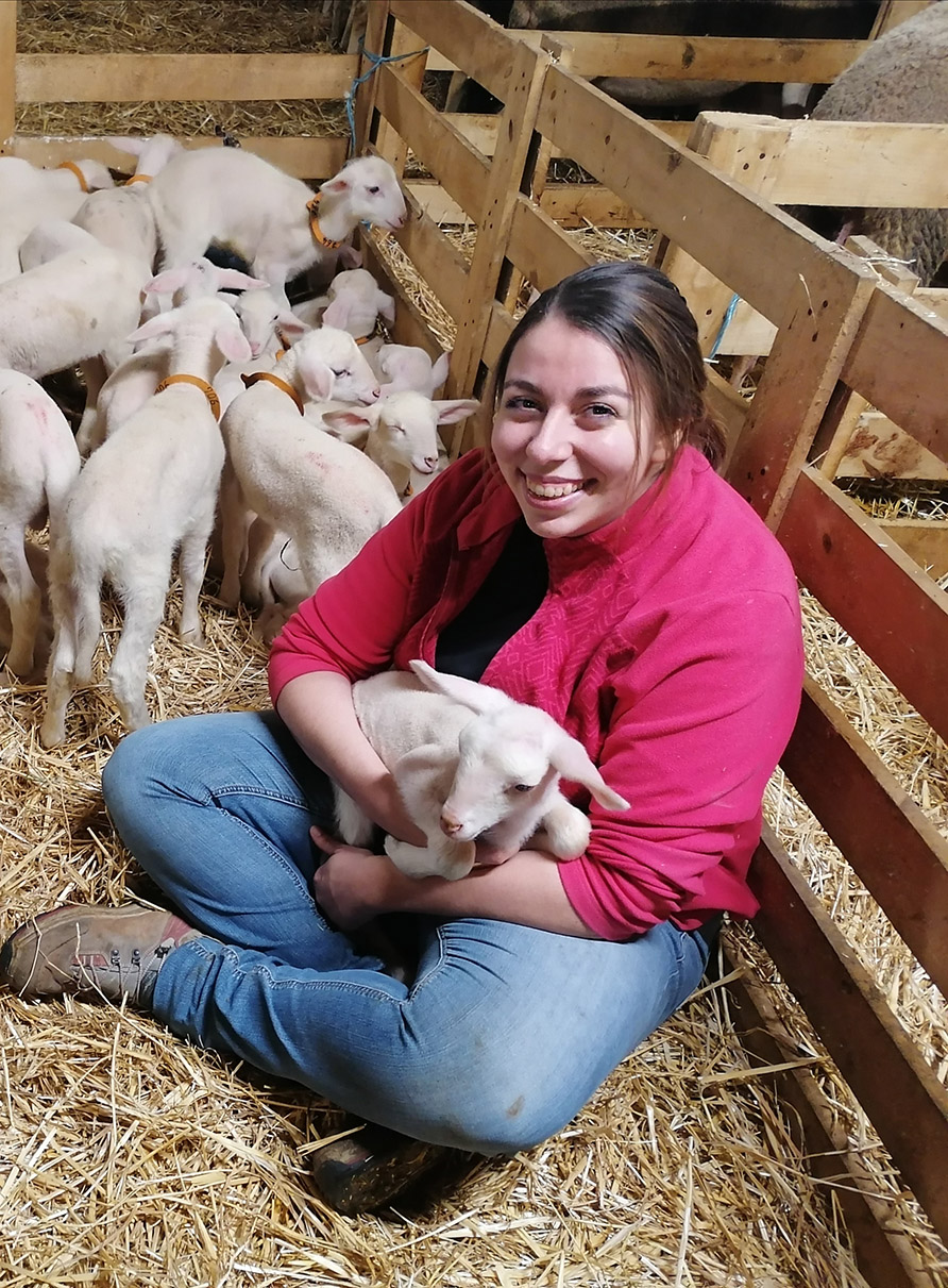 Domaine du Roc Nantais