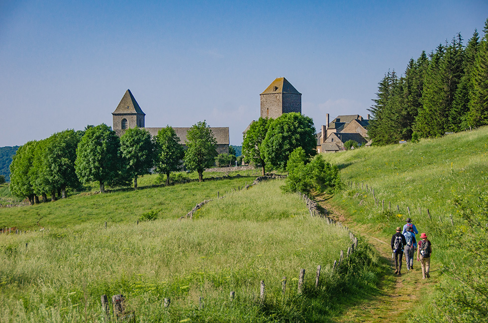 Fleurs d’Aubrac