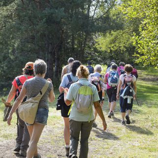 La Ferme de Courcimont