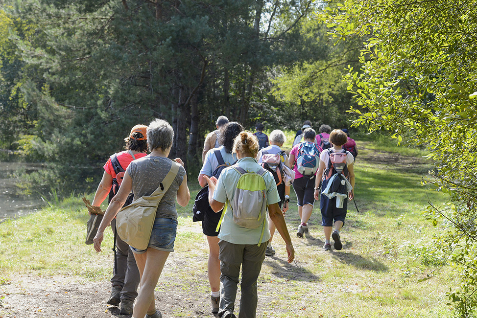 La Ferme de Courcimont