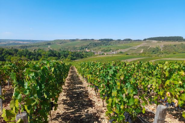 La Vallée de l’Yonne