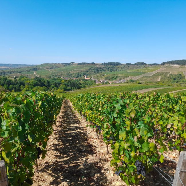 La Vallée de l’Yonne