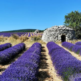 Le Cloître des Dominicains