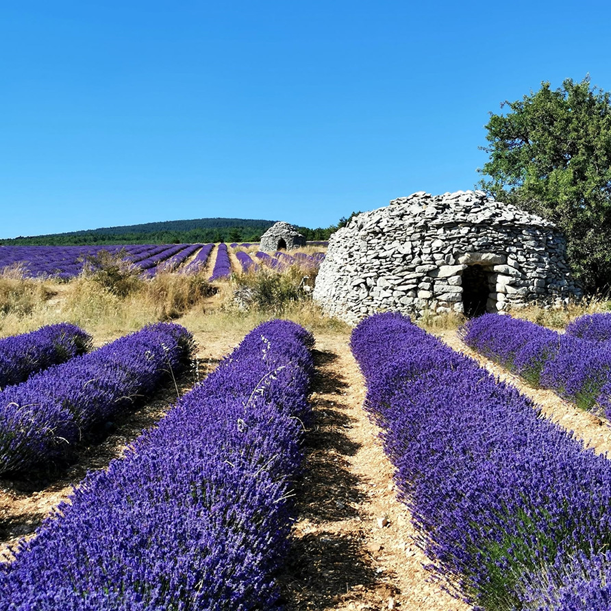 Le Cloître des Dominicains