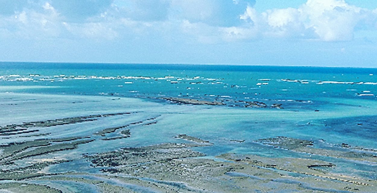 Les Vacances en groupe en CharenteMaritime