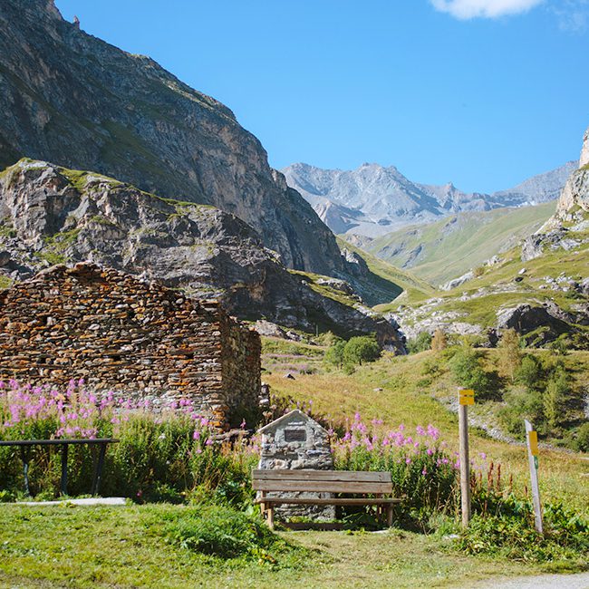 Chalet La Vigogne