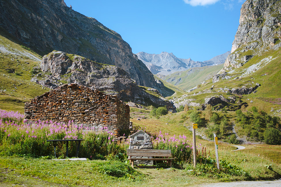 Chalet La Vigogne