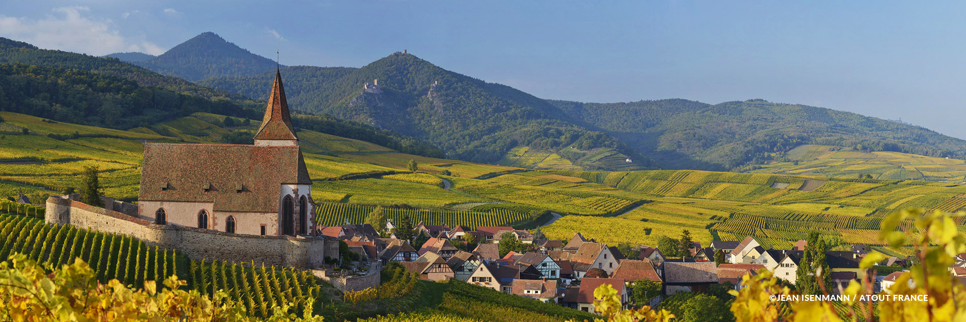 Vignoble grand cru Gloeckelberg sur la Route des Vins d'Alsace