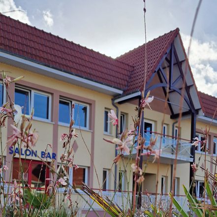 Stella Maris