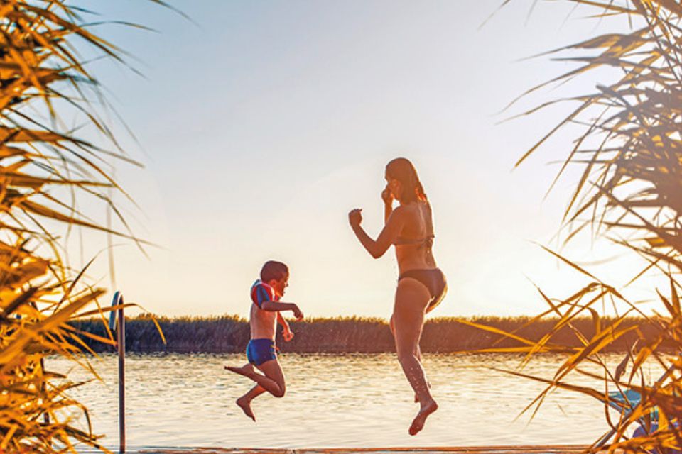 Printemps - Été - Automne