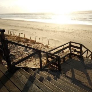 Le Carrefour des Landes