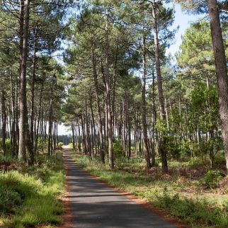 Le Carrefour des Landes