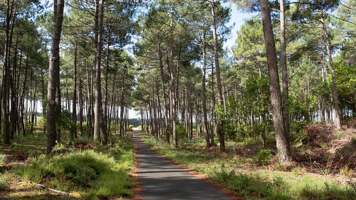 Le Carrefour des Landes Le Carrefour des Landes
